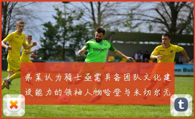 弗莱认为骑士亟需具备团队文化建设能力的领袖人物哈登与米切尔无法胜任